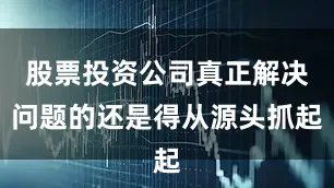 股票投资公司真正解决问题的还是得从源头抓起