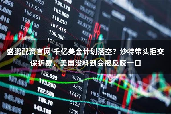 盛鹏配资官网 千亿美金计划落空？沙特带头拒交保护费，美国没料到会被反咬一口