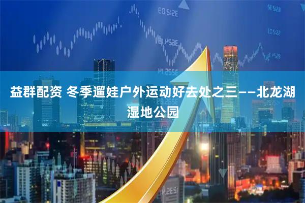 益群配资 冬季遛娃户外运动好去处之三——北龙湖湿地公园