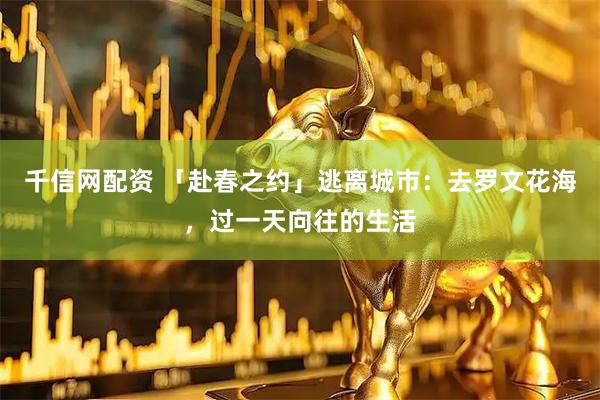 千信网配资 「赴春之约」逃离城市：去罗文花海，过一天向往的生活