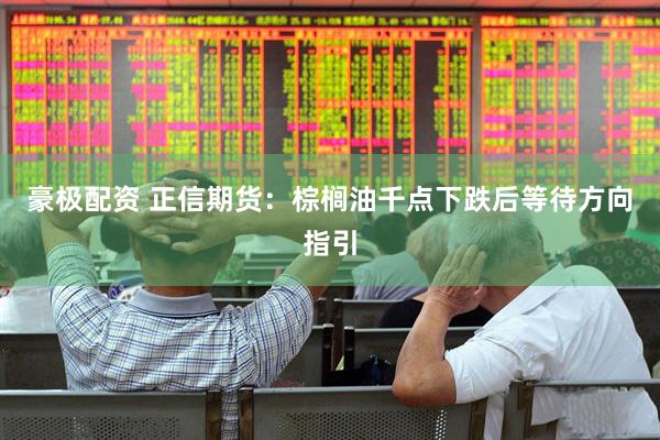 豪极配资 正信期货：棕榈油千点下跌后等待方向指引